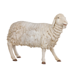 70 Inch Scale Adult Sheep by Fontanini